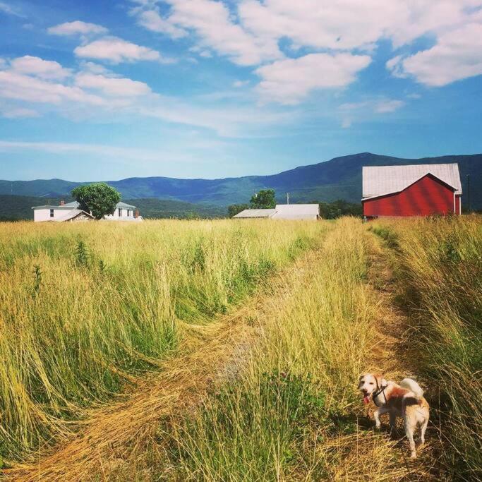 Vila Madeline Farms Luray Exteriér fotografie