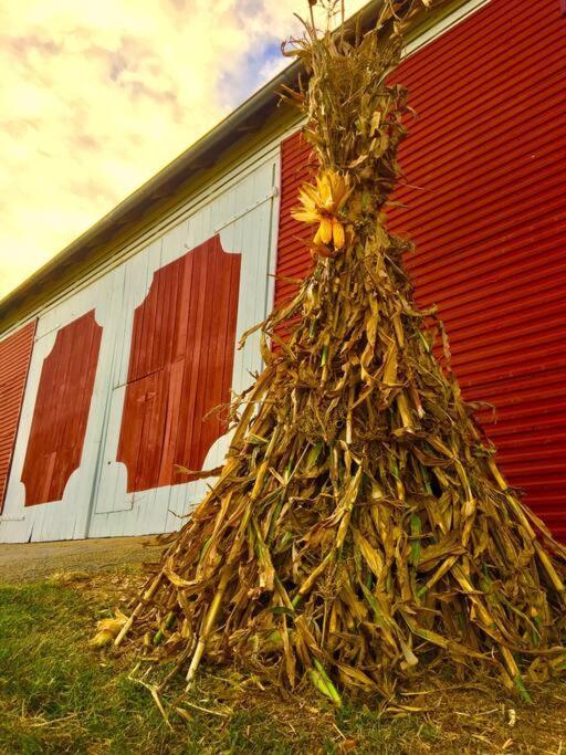 Vila Madeline Farms Luray Exteriér fotografie