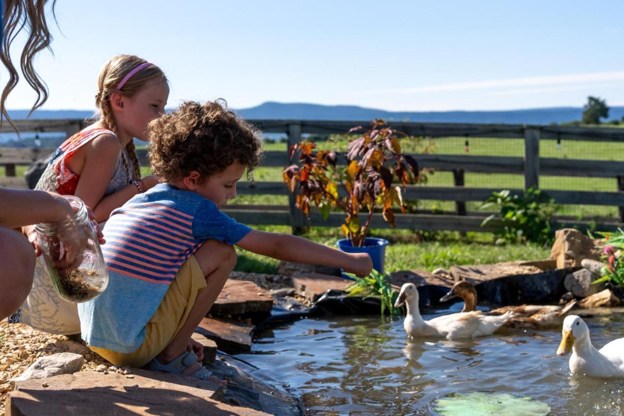 Vila Madeline Farms Luray Exteriér fotografie