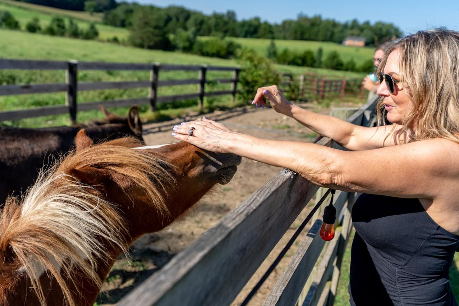 Vila Madeline Farms Luray Exteriér fotografie