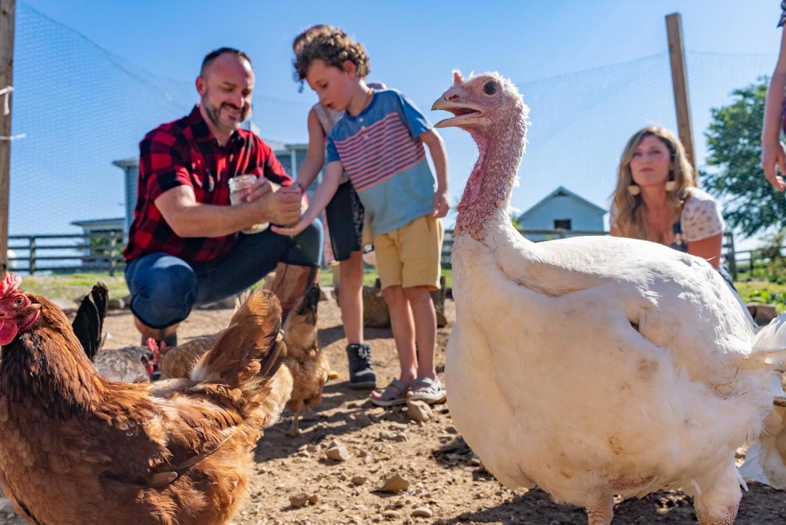 Vila Madeline Farms Luray Exteriér fotografie