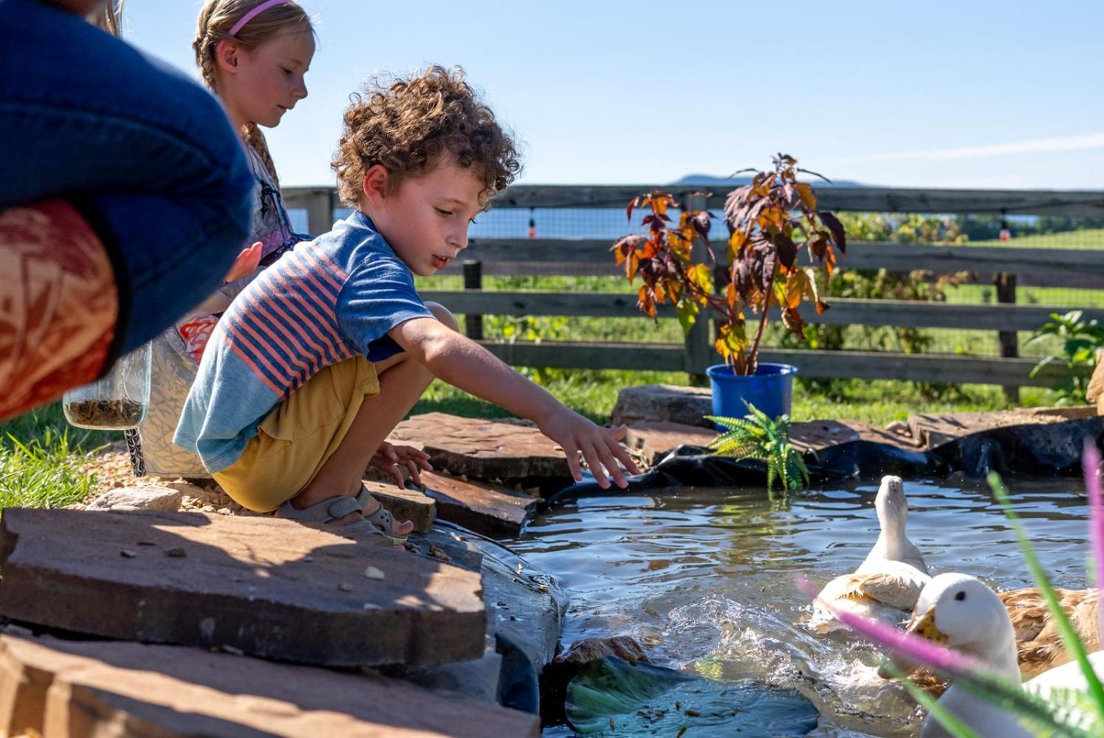 Vila Madeline Farms Luray Exteriér fotografie