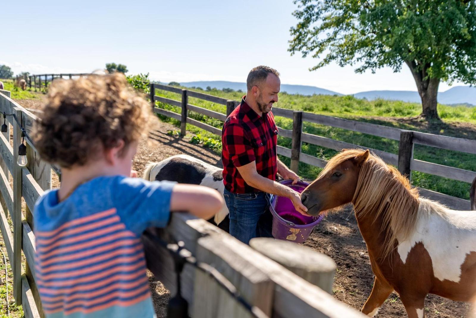 Vila Madeline Farms Luray Exteriér fotografie